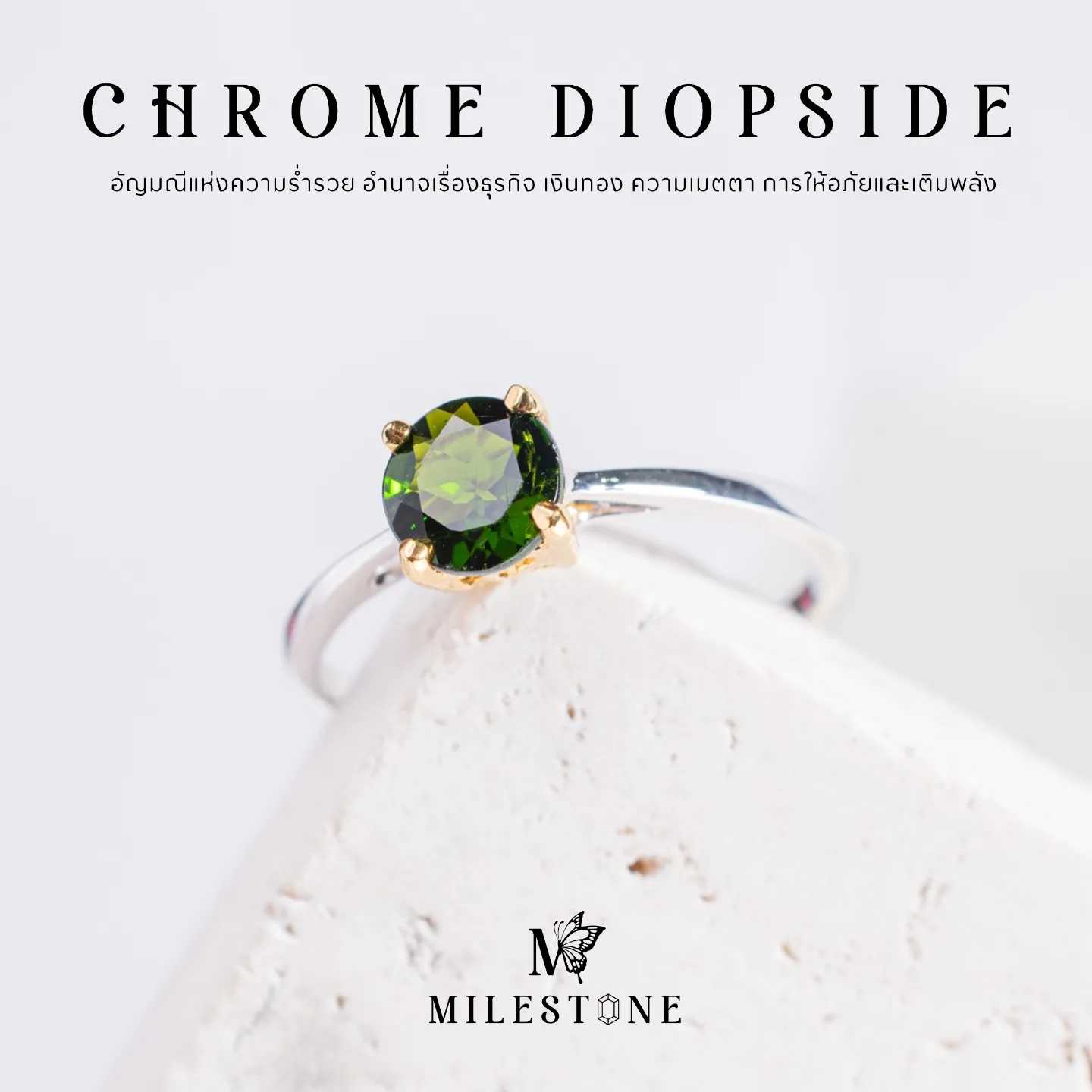 Milestone Princess Collection 