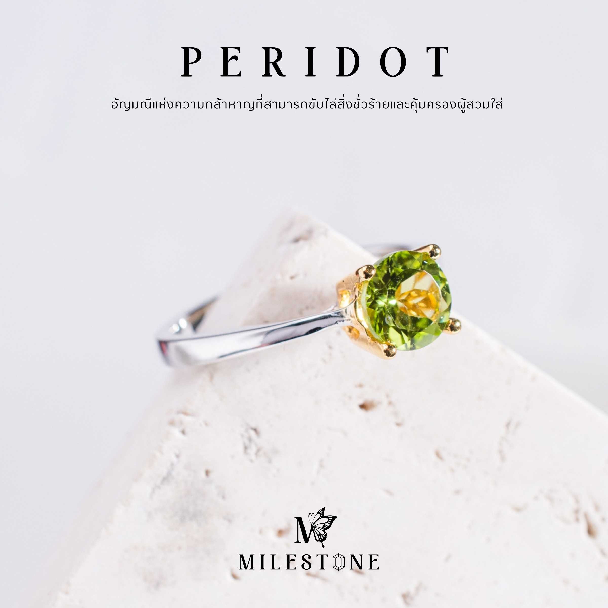 Milestone Princess Collection 