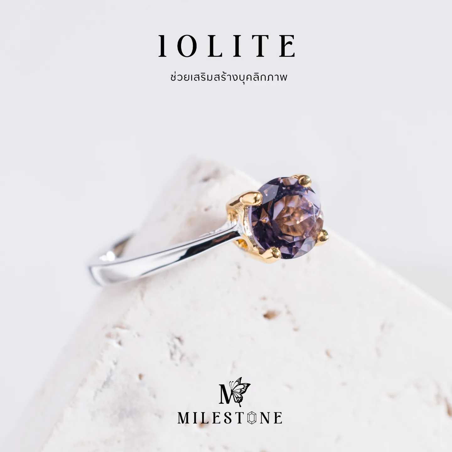Milestone Princess Collection 