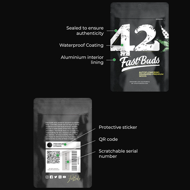 Blue Dream'matic Auto - Pack 2
