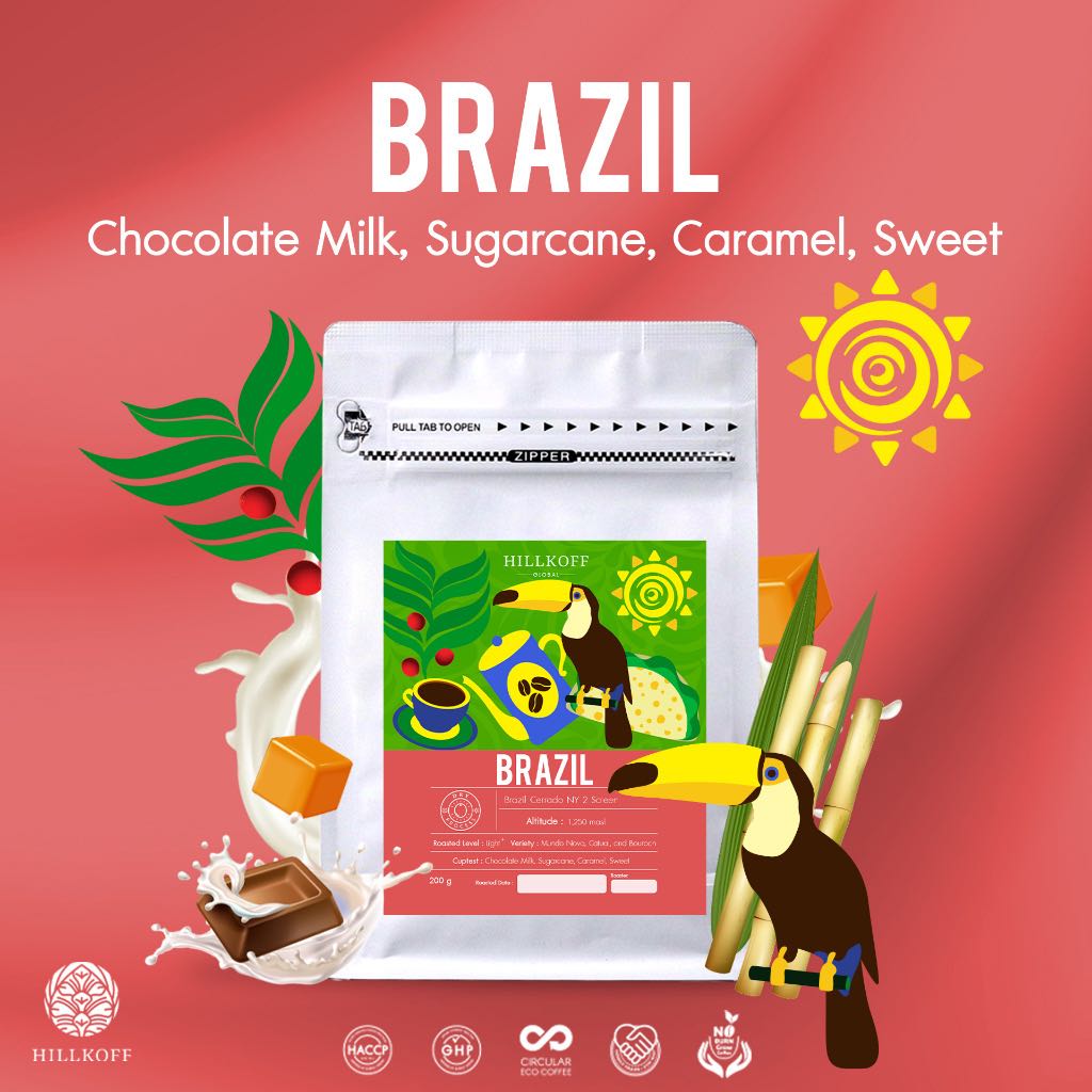 Brazil Arabica Specialty Roasted เมล็ดกาแฟคั่ว กาแฟ อาราบิก้าแท้ 100% อราบิก้า สเปเชียลตี้ บราซิล