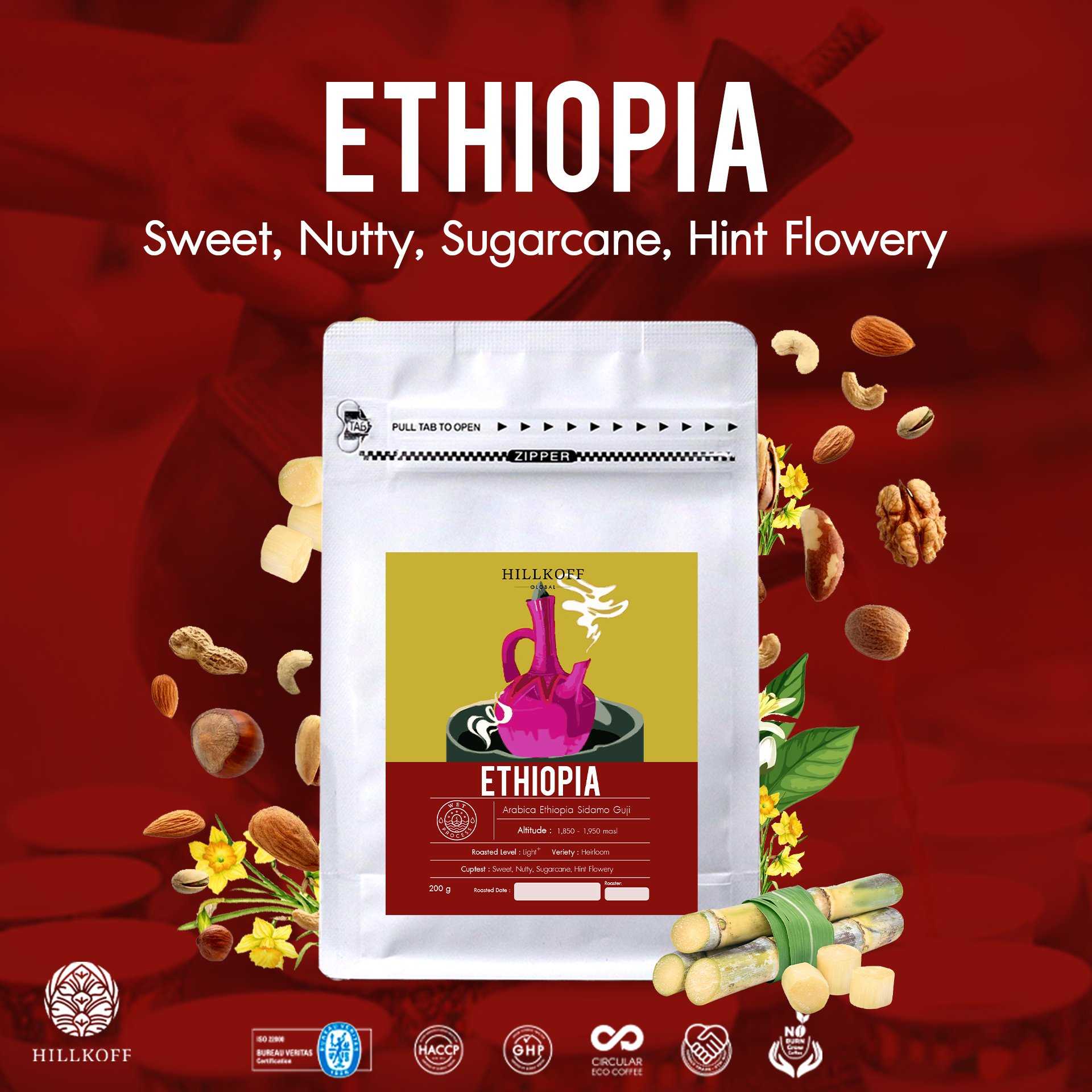 Ethiopia Sidamo Guji Arabica Specialty Roasted เมล็ดกาแฟคั่ว กาแฟ อาราบิก้า แท้ 100% เอธิโอเปีย