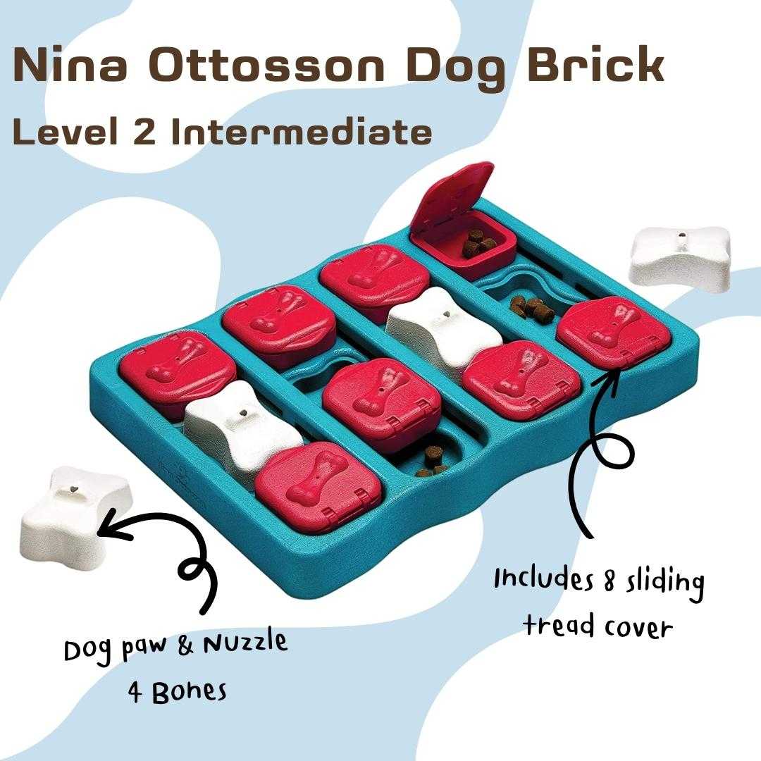 Level 2 Outward hound Dog Puzzle Dog Brick Flip