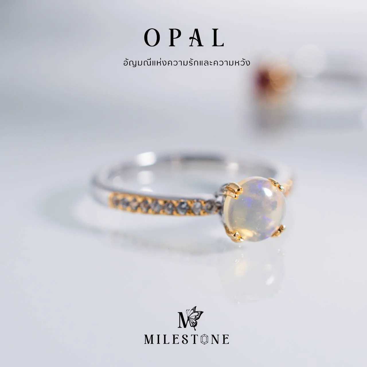Milestone Princess Collection 