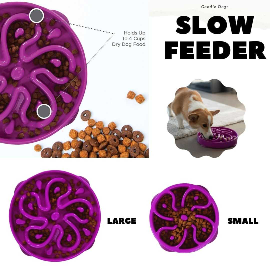 Slow Bowl Fun Feeder Outward Hound