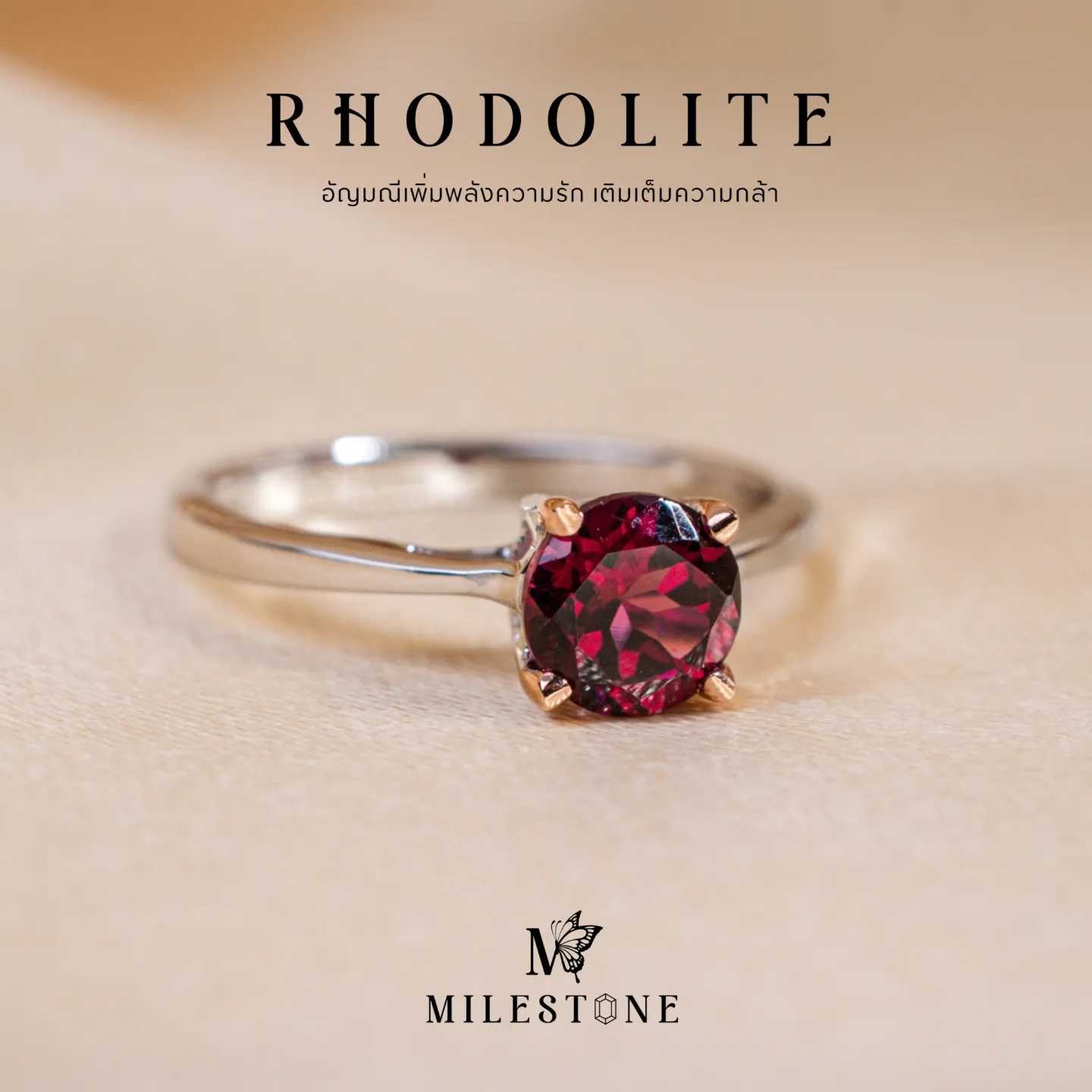 Milestone Princess​ Collection