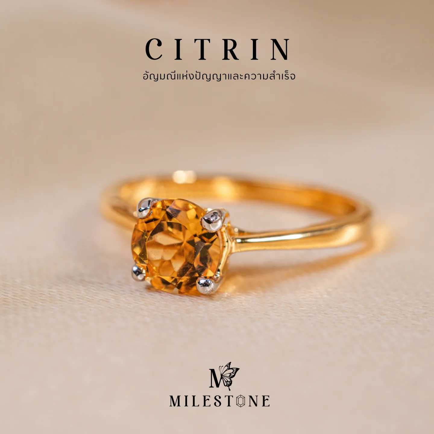 Milestone​ ​Princess​ Collection 