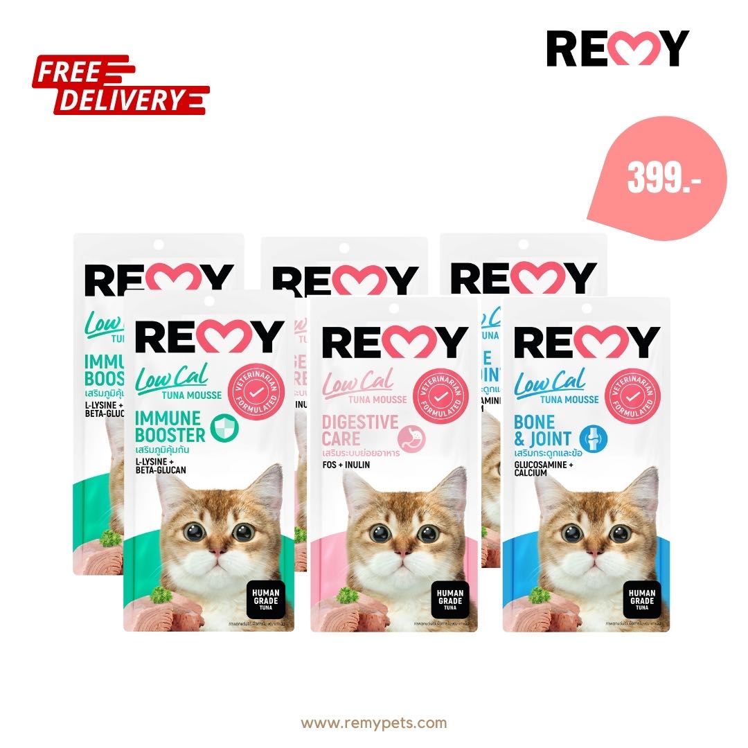 REMY ขนมมูสแมวเลียแคลอรี่ต่ำ รวม 3 สูตร  (6 ซองใหญ่ มี 24 ซองเล็ก)