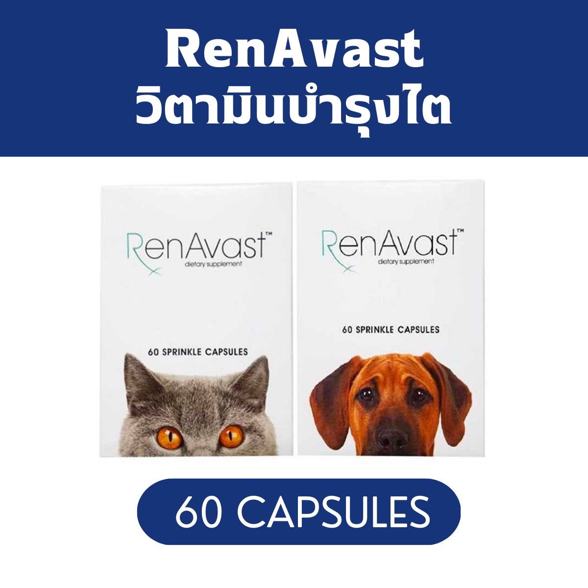 RenAvast DOG & CAT  อาหารเสริม บำรุงไตสุนัขและแมว