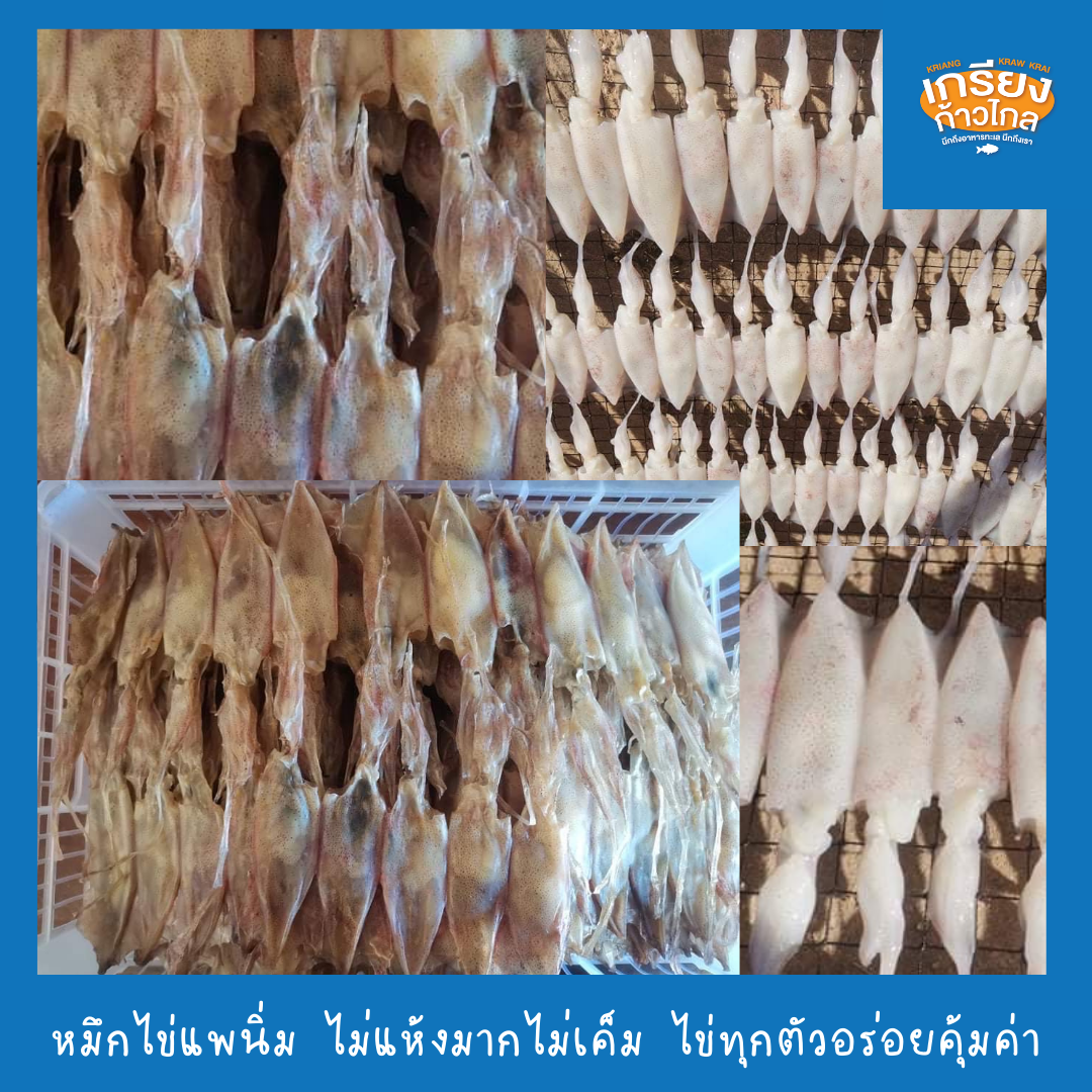 หมึกไข่แพ หอมสดสะอาดอร่อย เนื้อหวานกรอบ น้ำหนัก 200 กรัม by เกรียงก้าวไกลฟู๊ด
