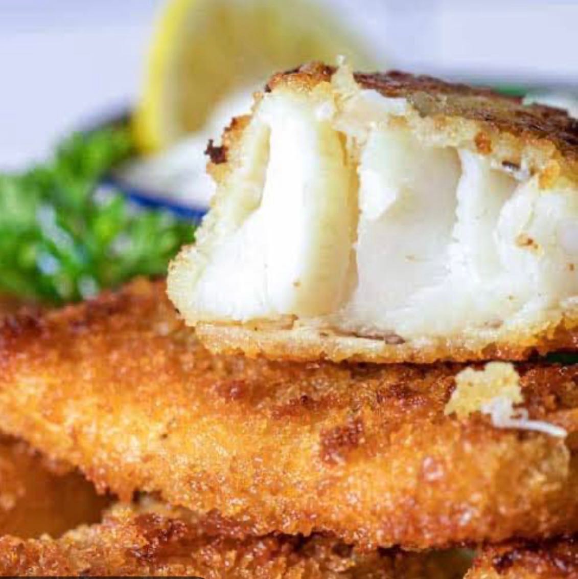 Seabass Katsu  ปลากระพงทอด スズキかつ