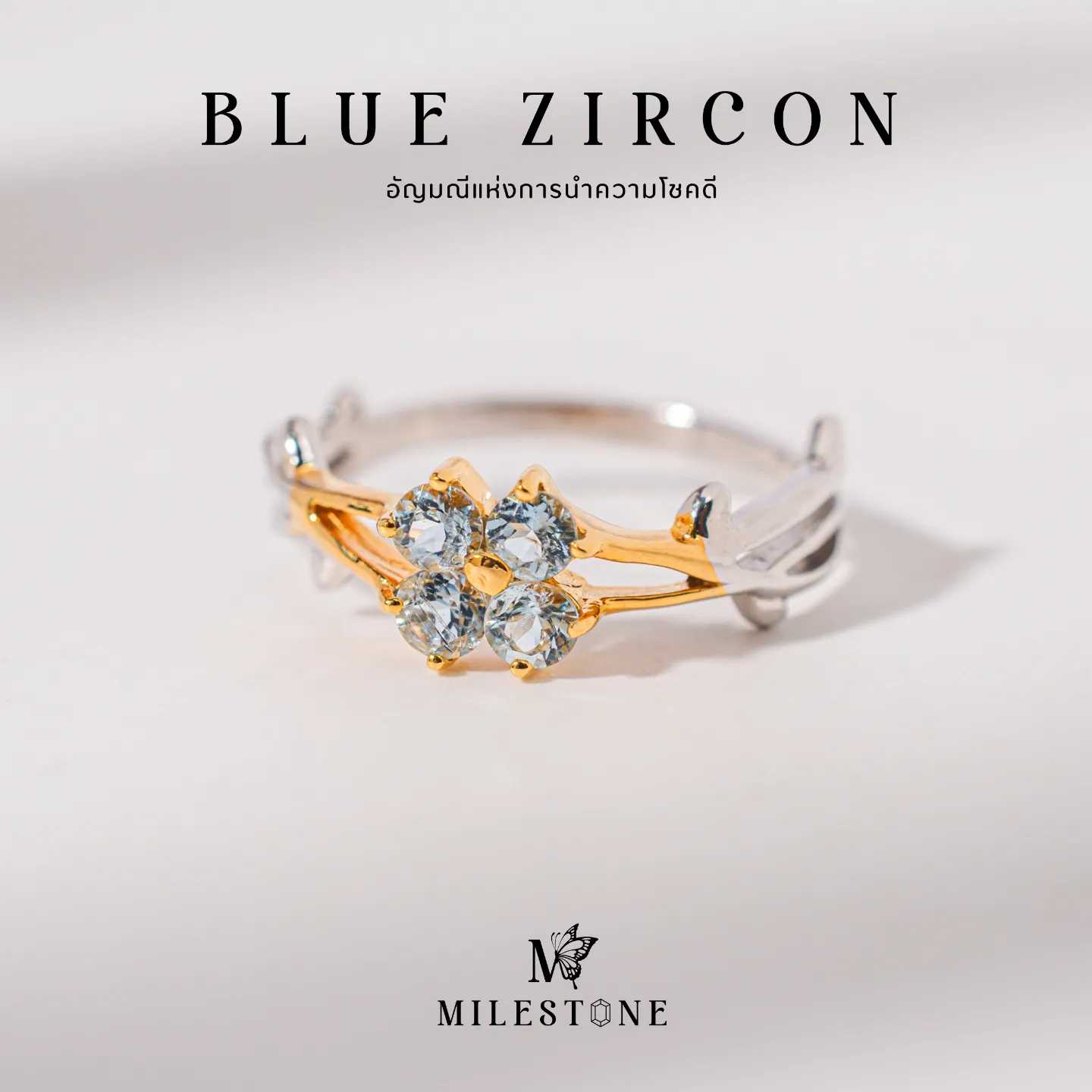 Milestone​ Princess​ Collection​