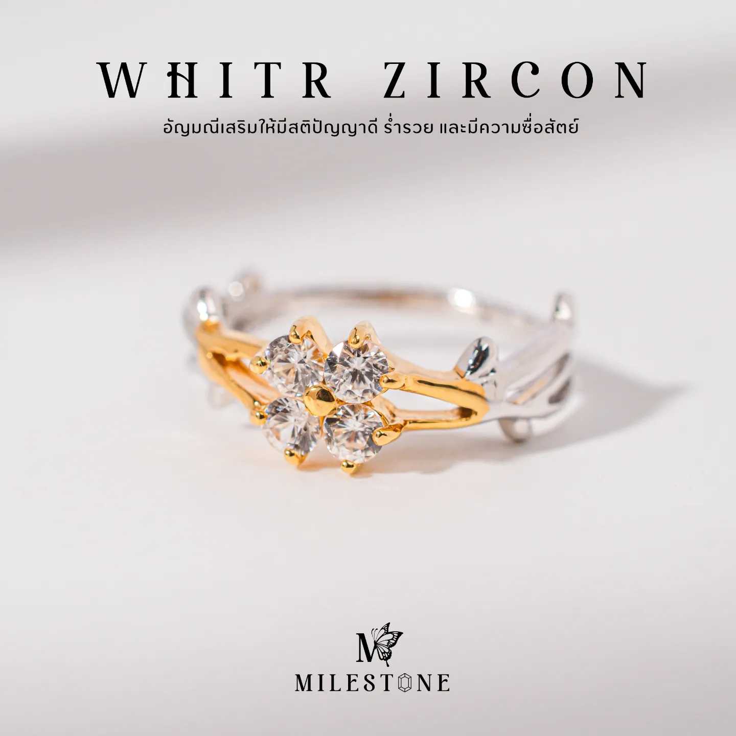 Milestone​ ​Princess​ Collection​