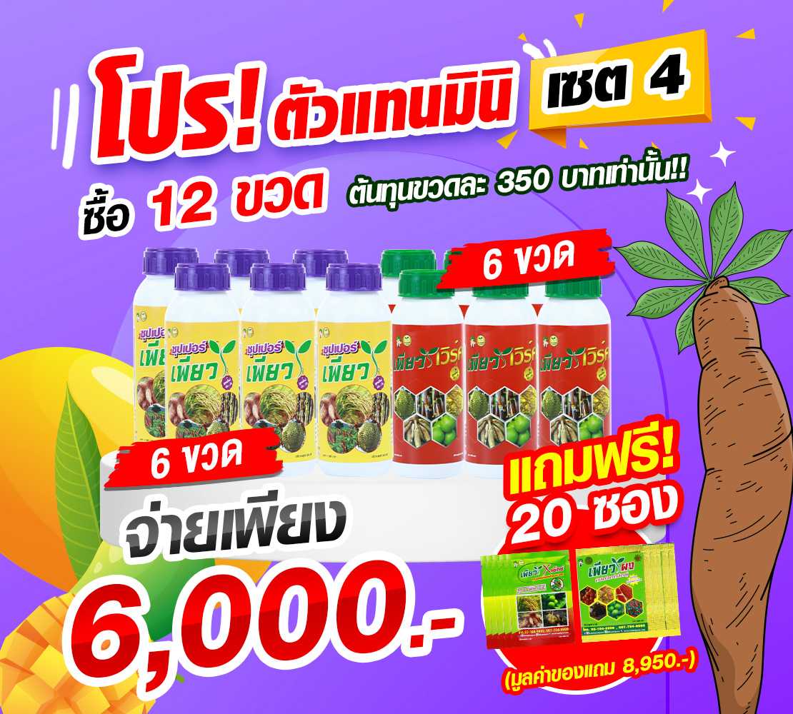 ตัวแทนมินิ 🌳เซต4 ~ ฟื้นฟู เพิ่มผลผลิต พิชิตโรคแมลง