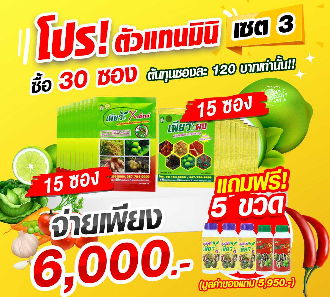 โปรตัวแทนมินิ  🥭เซต3 ~ เร่งโต ขั้วเหนียว เพิ่มน้ำหนัก