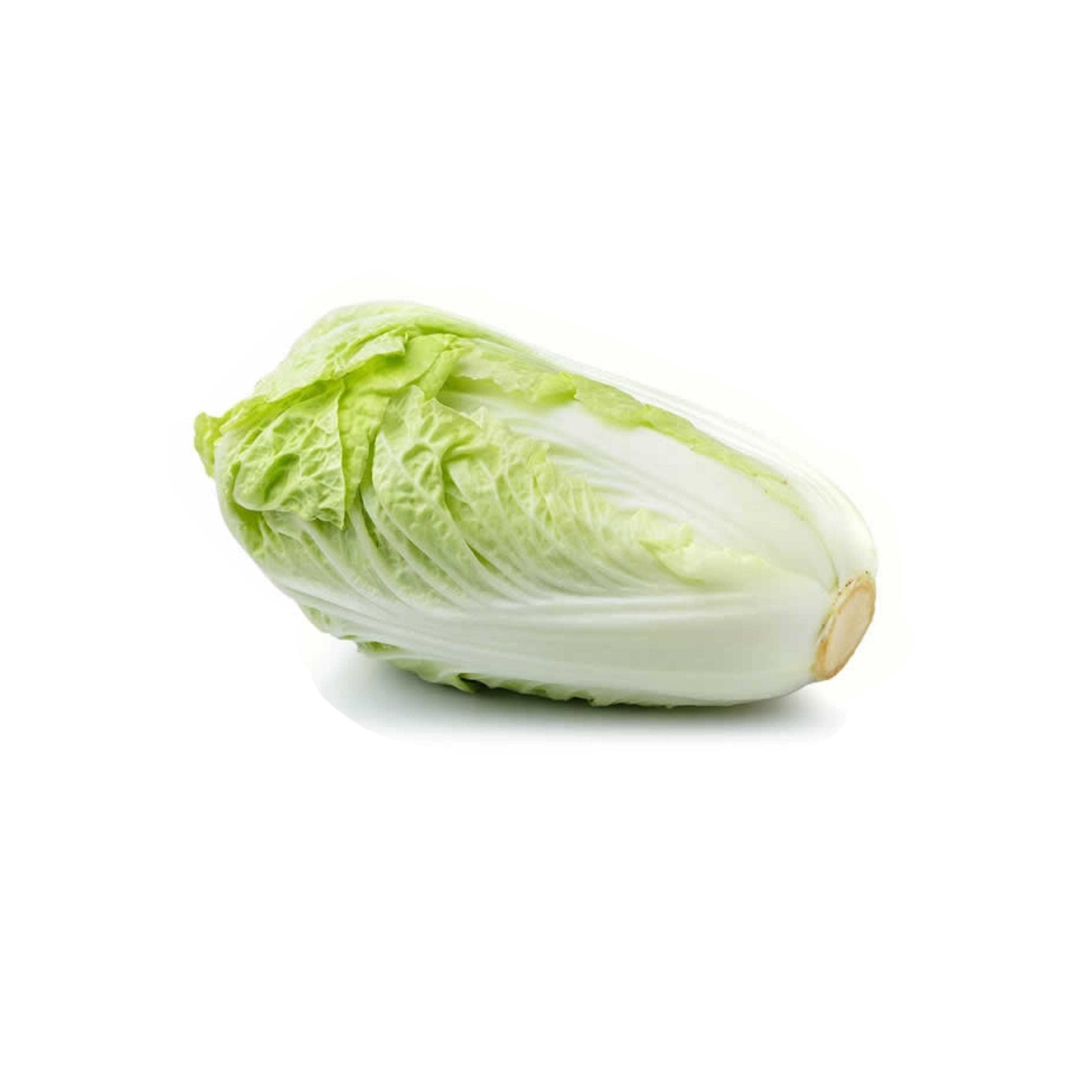 ผักกาดขาว ขนาดกลาง(Chinese cabbage) 160 บาท/กก