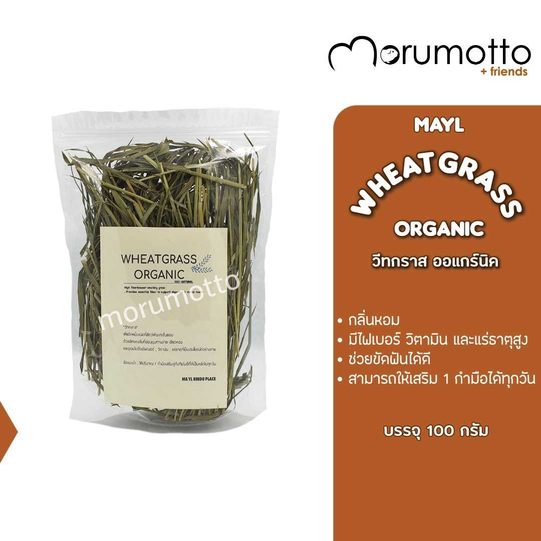 MAYL Wheat Grass Organic มายล วีทกราส ออแกร์นิค (100g)
