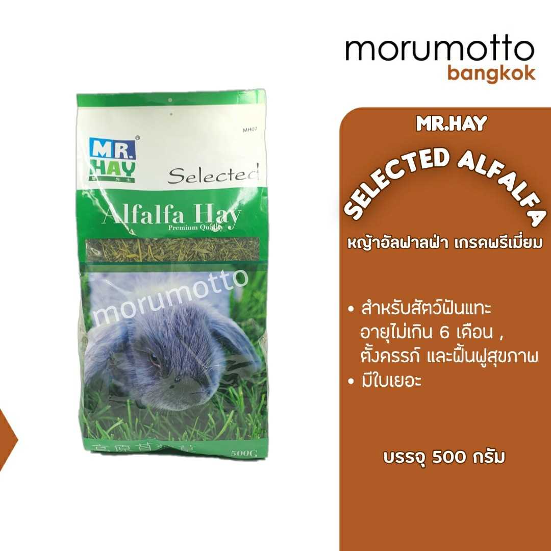 MR.HAY Selected Alfalfa Hay หญ้าอัลฟาฟ่าเกรดพรีเมี่ยม สำหรับกระต่าย แกสบี้ และชินชิล่า (500กรัม)
