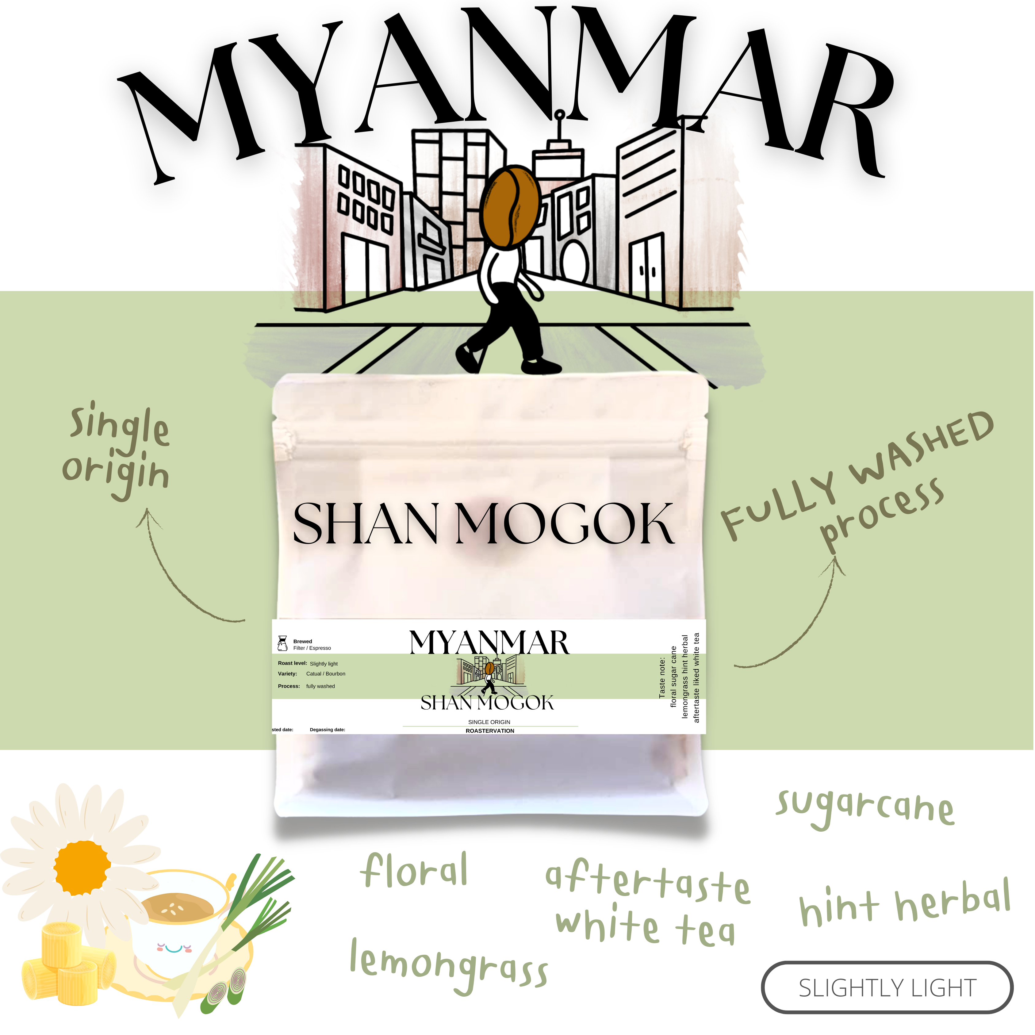 Myanmar shan mogok