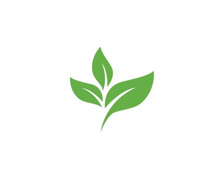 An Image