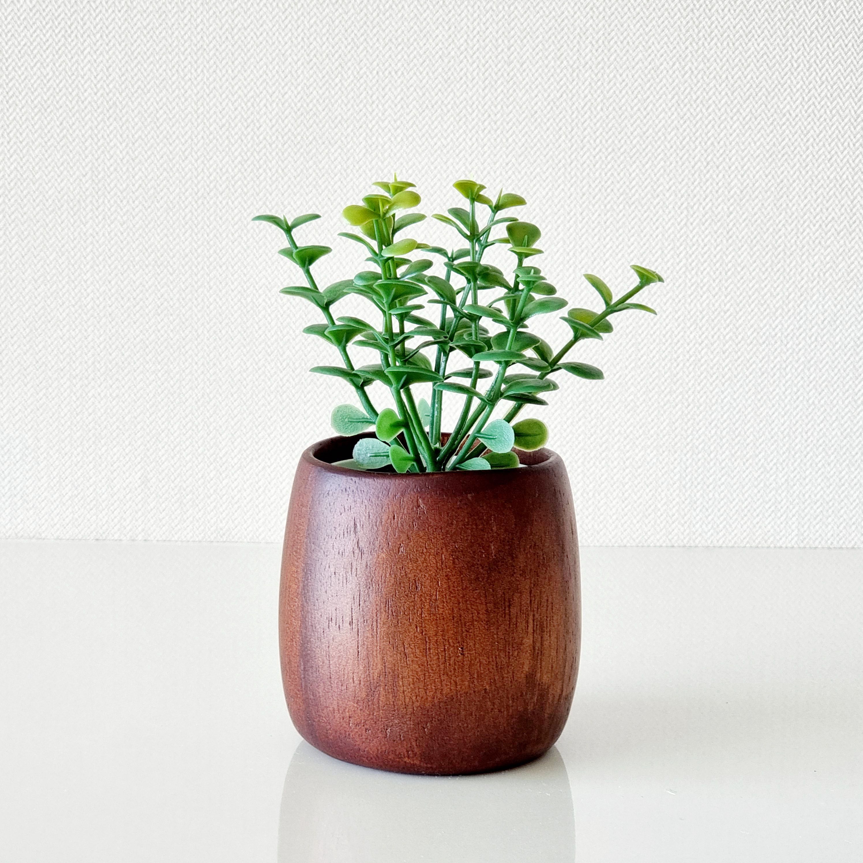 Artificial Tree:ต้นมันนี่ประดิษฐ์พร้อมกระถางไม้