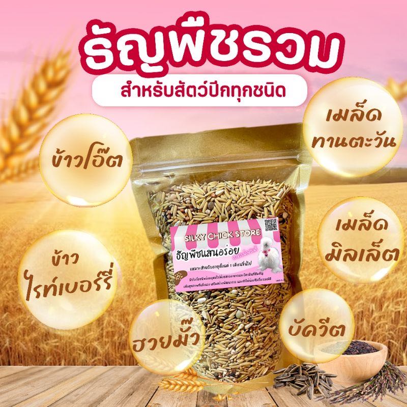 ธัญพืชแสนอร่อย สำหรับสัตวปีกทุกชนิดโดยเฉพาะไก่ซิลกี้