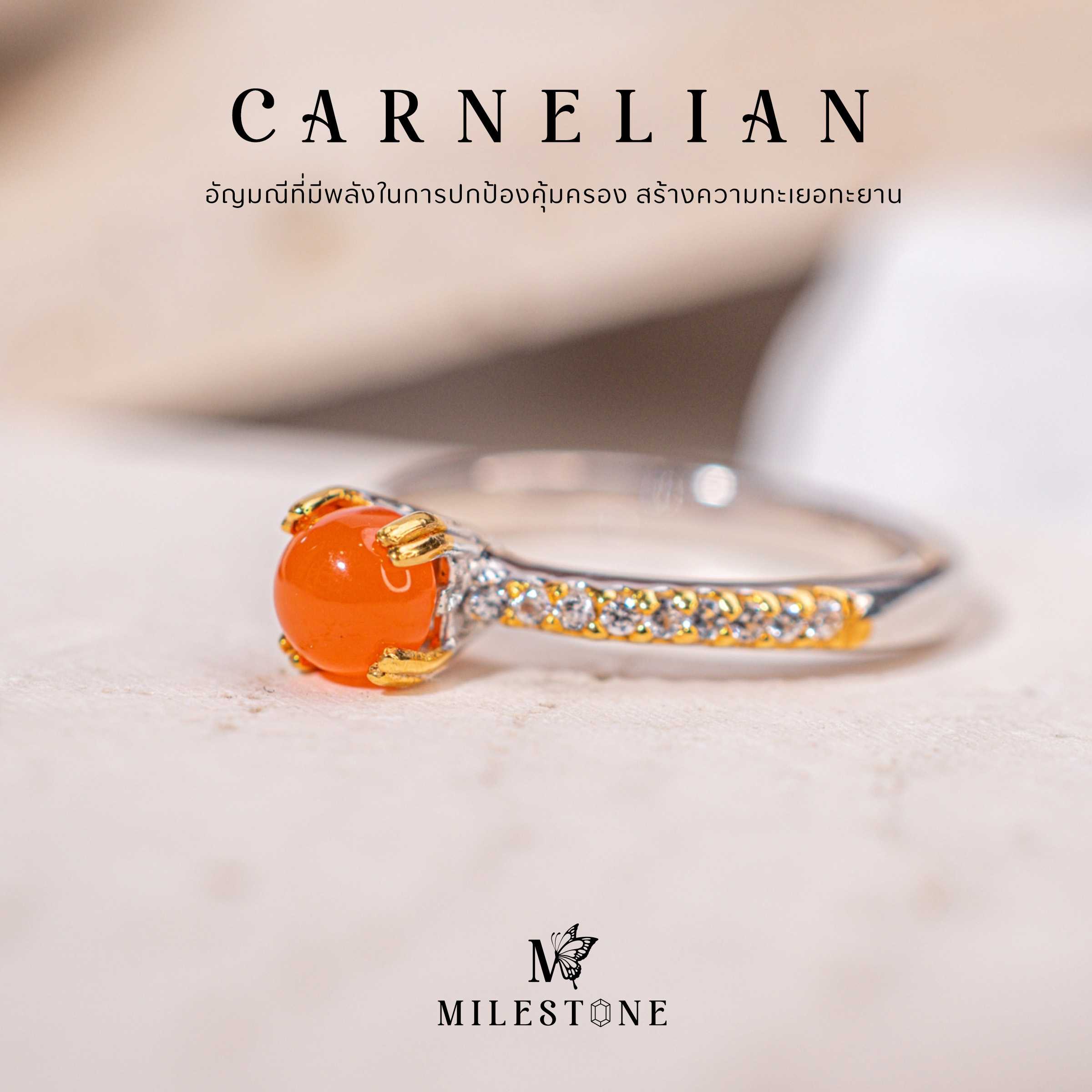 Milestone Princess Collection 