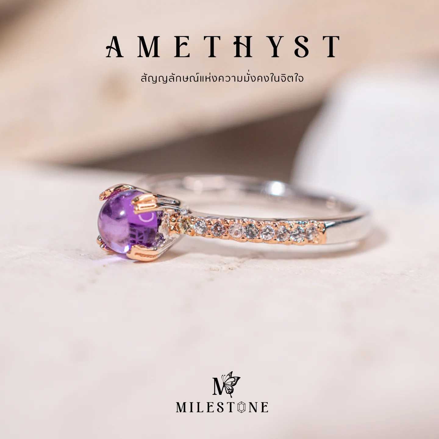 Milestone Princess Collection 