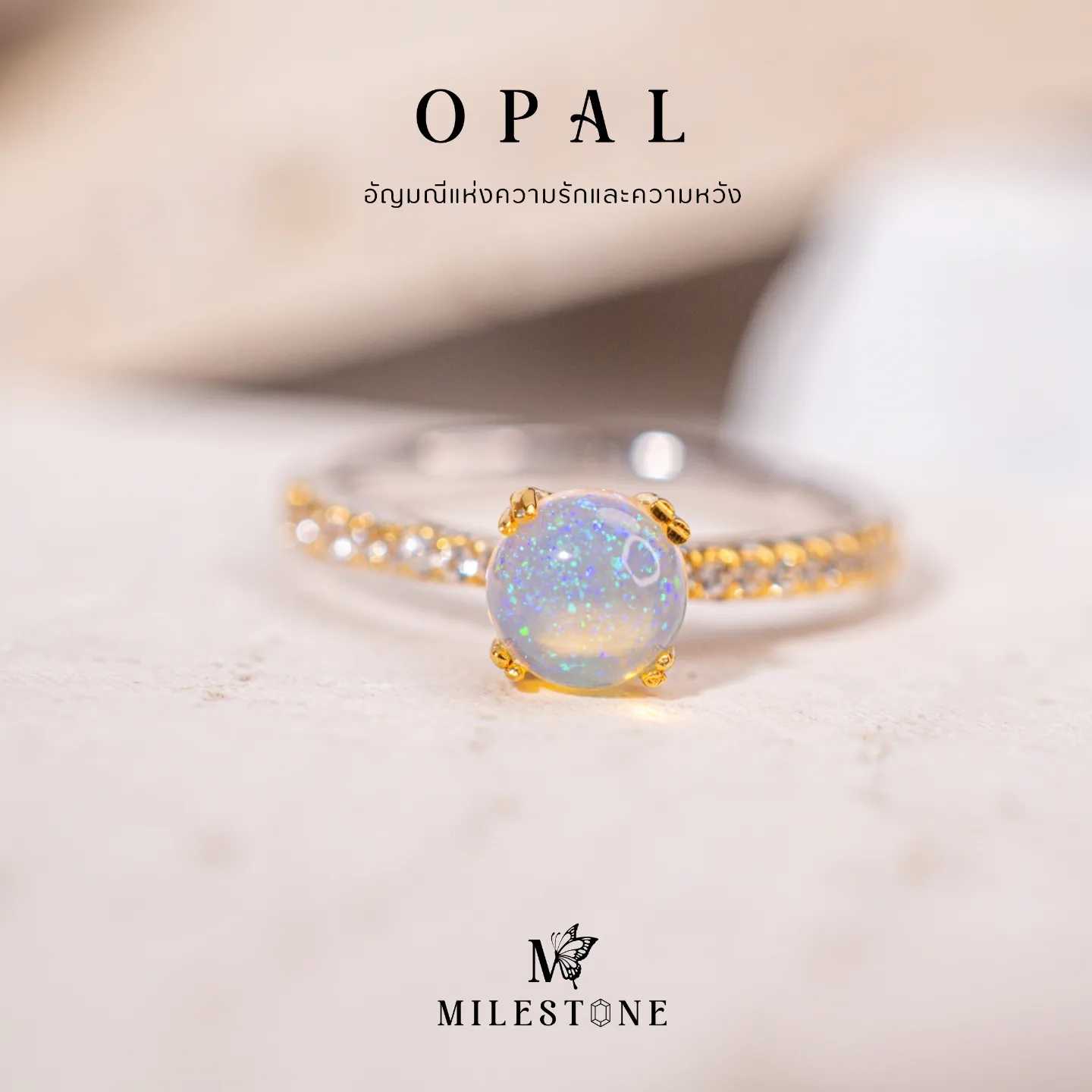 Milestone Princess Collection 