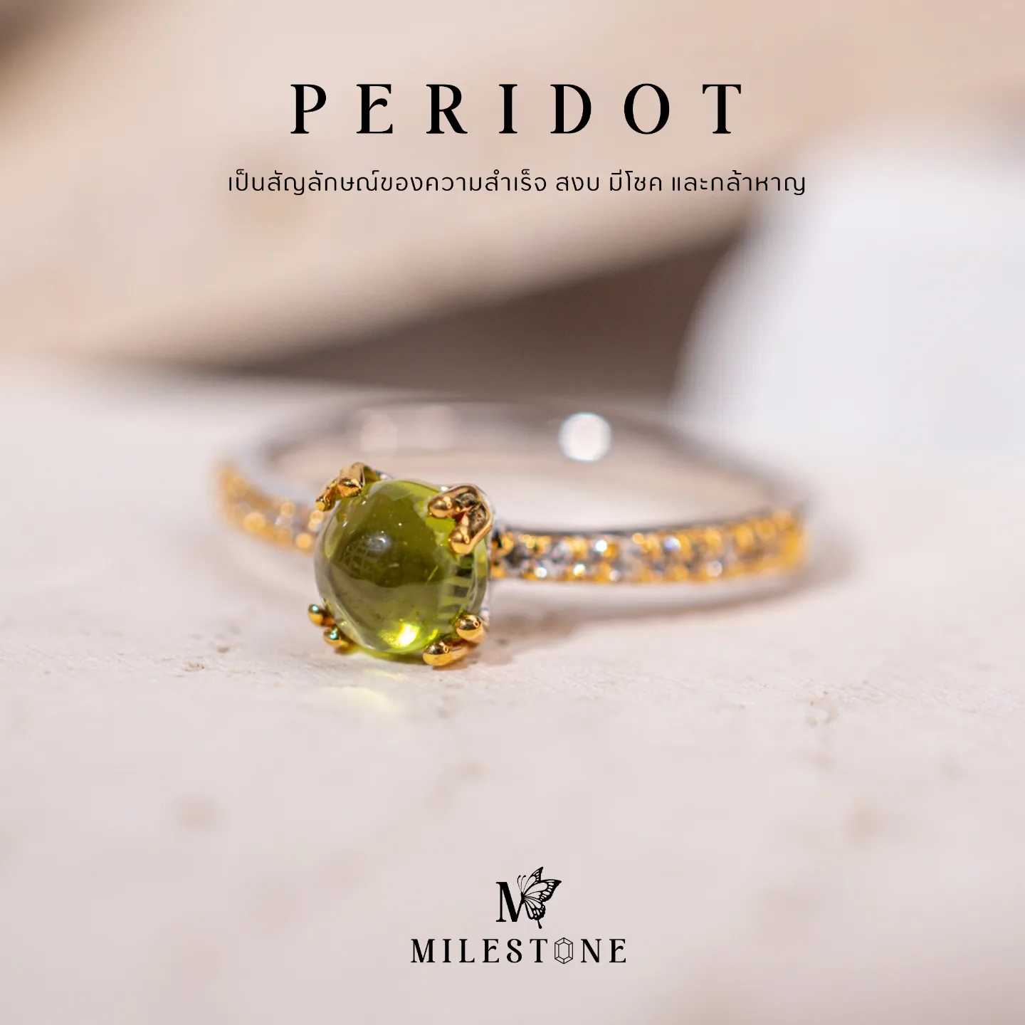 Milestone Princess Collection 