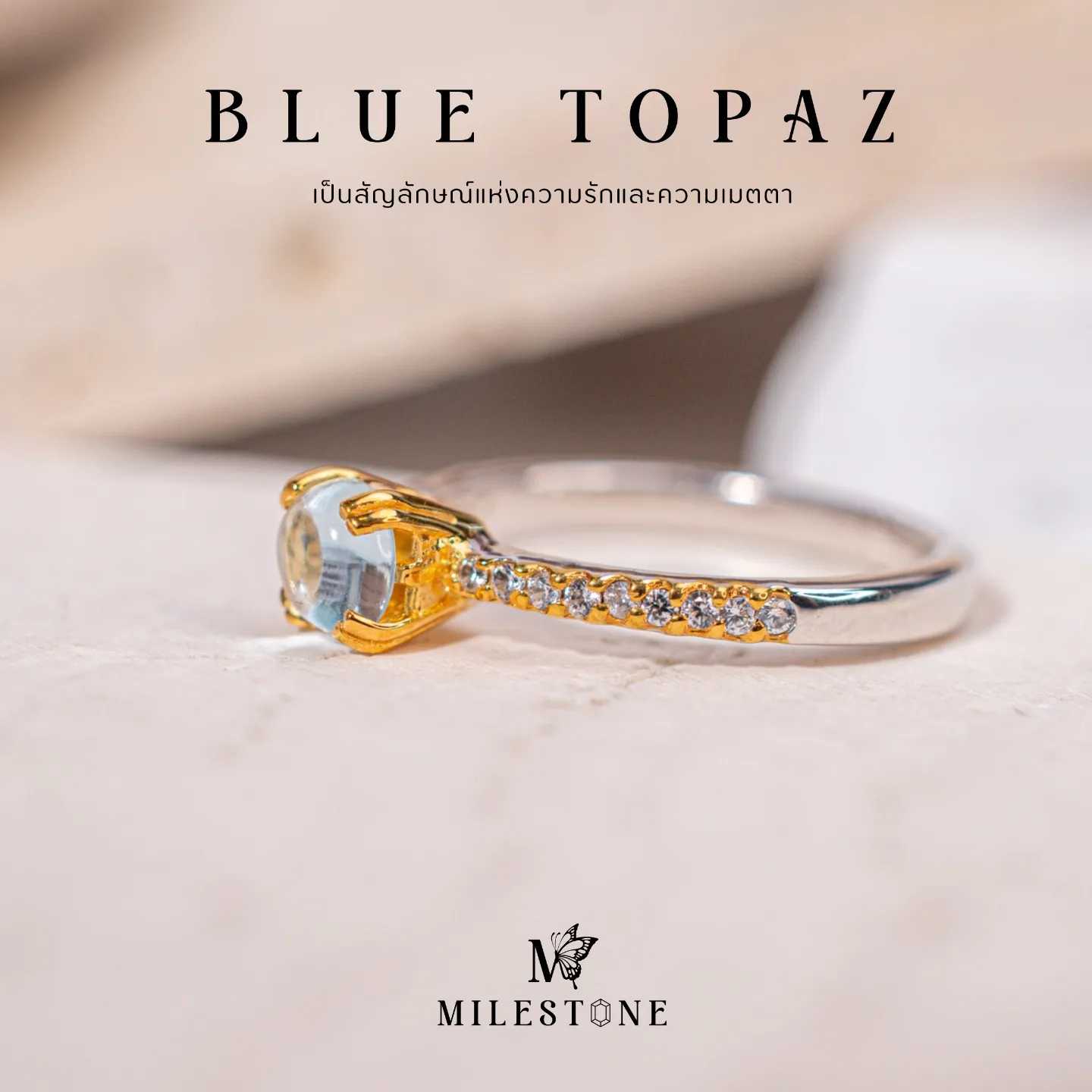 Milestone Princess Collection 