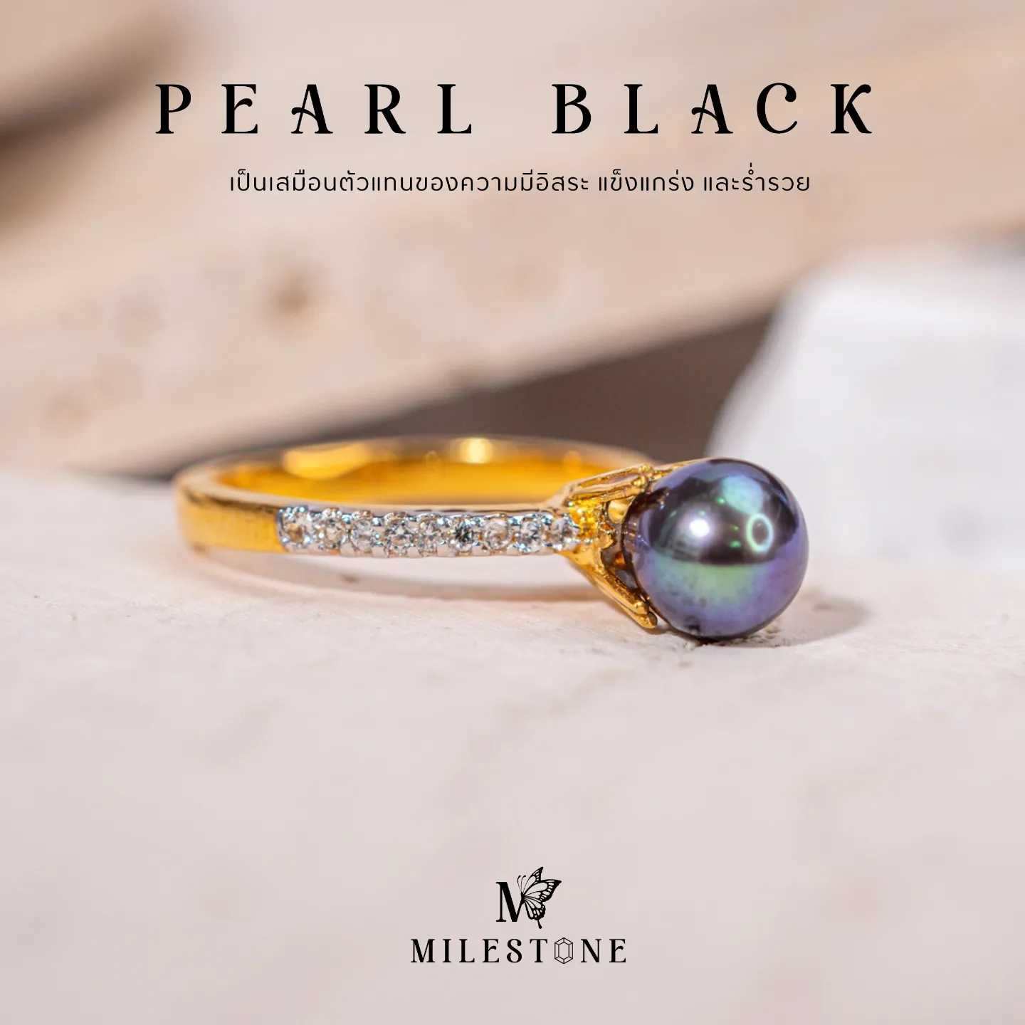 Milestone Princess Collection 