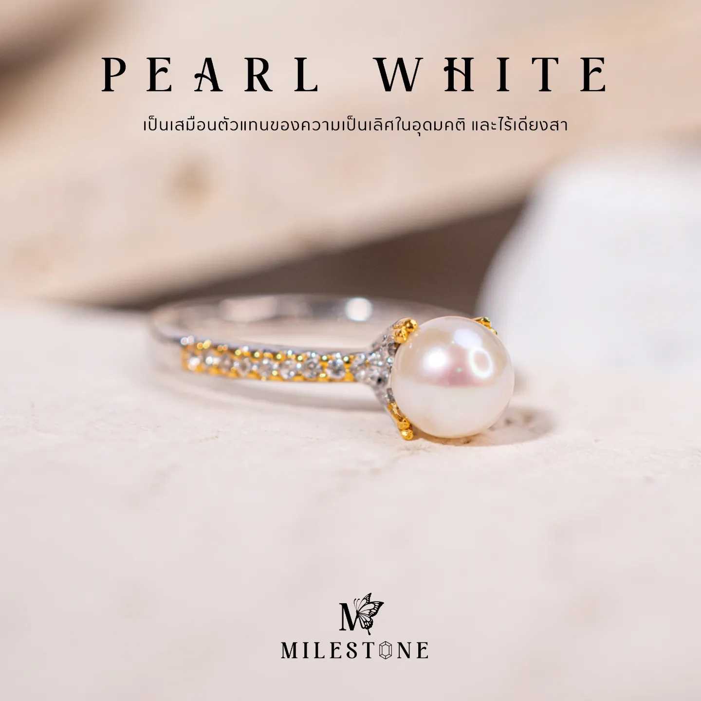 Milestone Princess Collection 