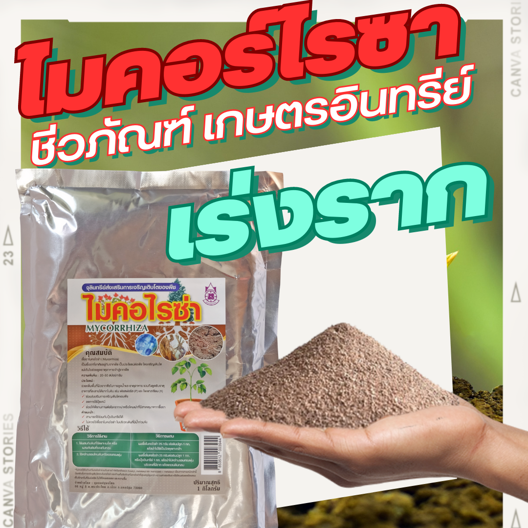 ชีวภัณฑ์ เกษตรอินทรีย์ เชื้อราไมคอร์ไรซา Mycorrhiza🌿 ขนาด 1 กิโลกรัม