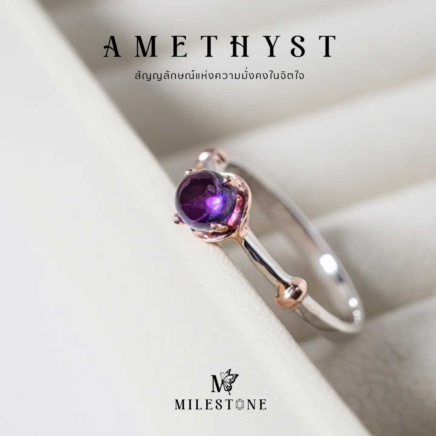 Milestone Princess Collection 
