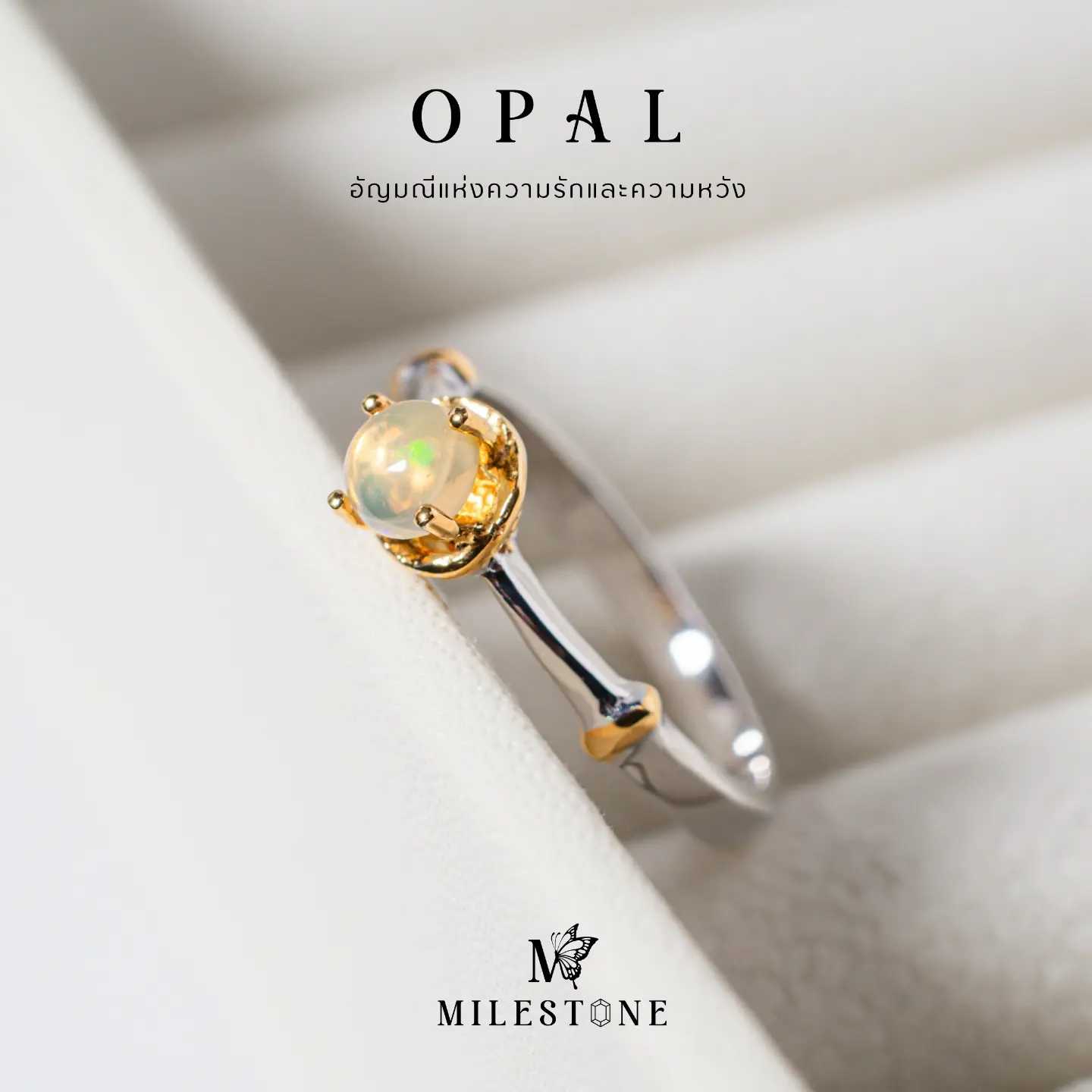 Milestone Princess Collection 