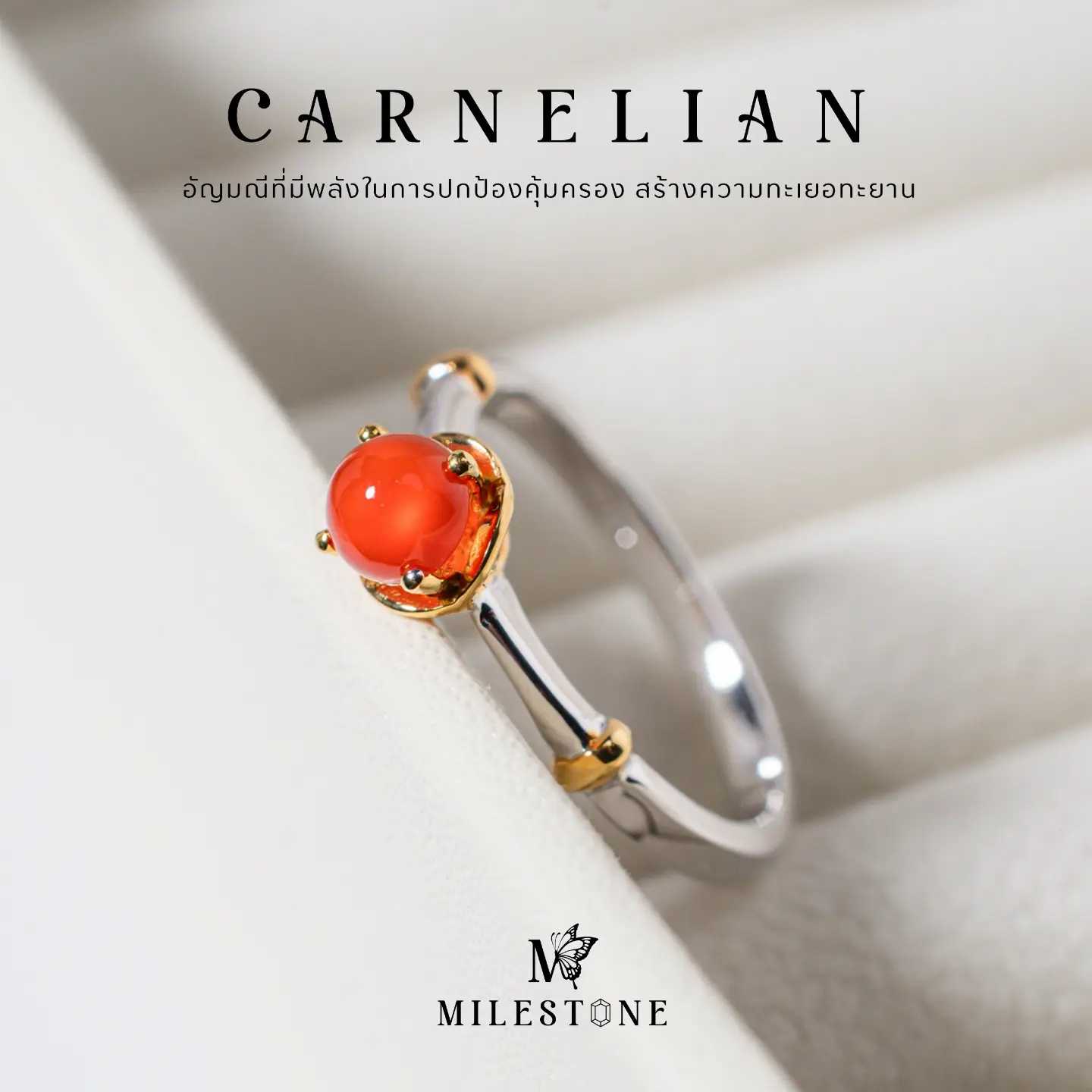 Milestone Princess Collection 