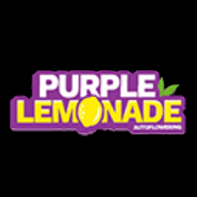 Purple Lamonade Auto - Pack - 1