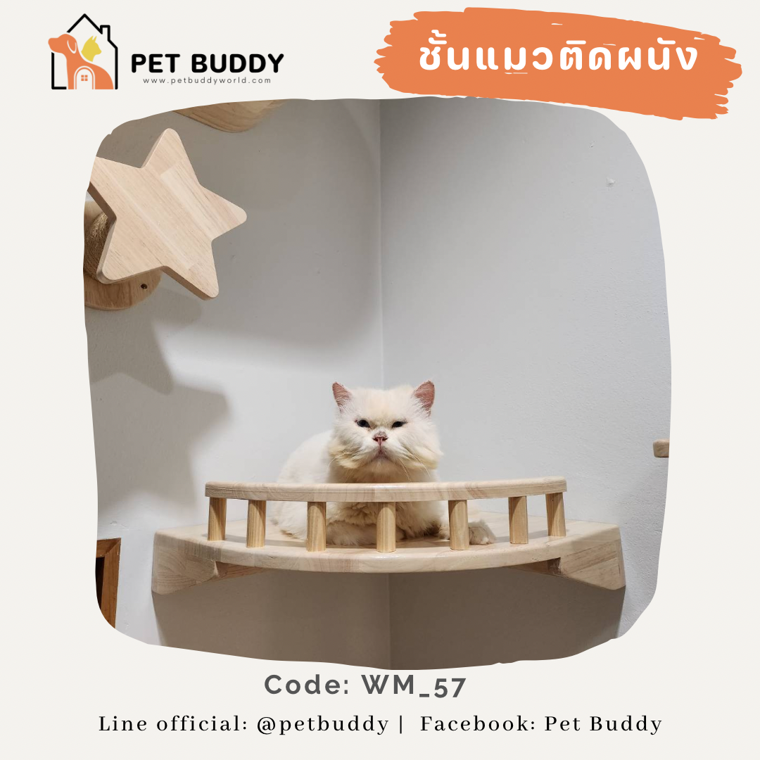 ชั้นแมวติดผนัง wm_57