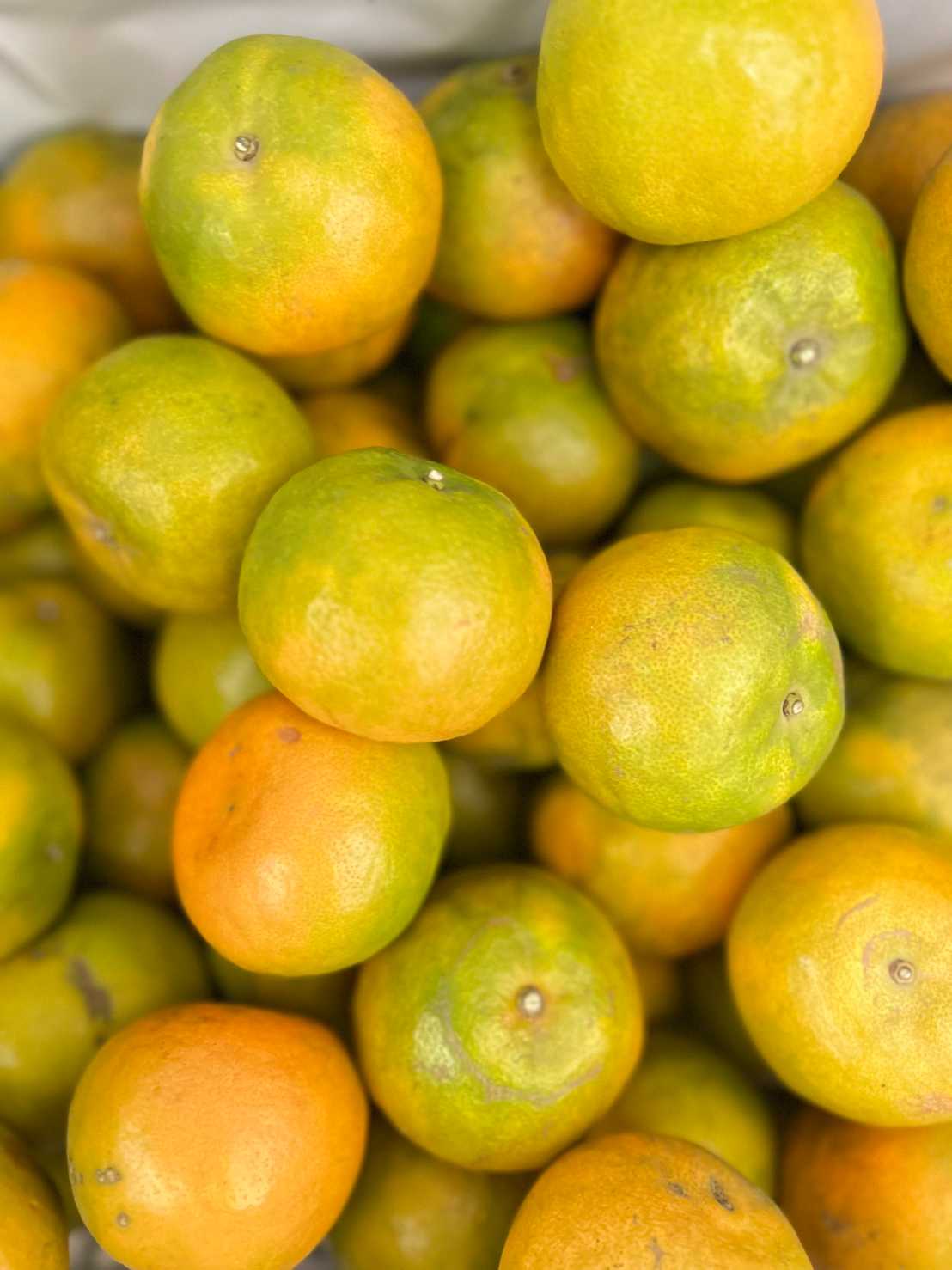  SET 3 Kg.Sai nam peung orange  (ส้มสายน้ำผึ้ง  3 กก.)