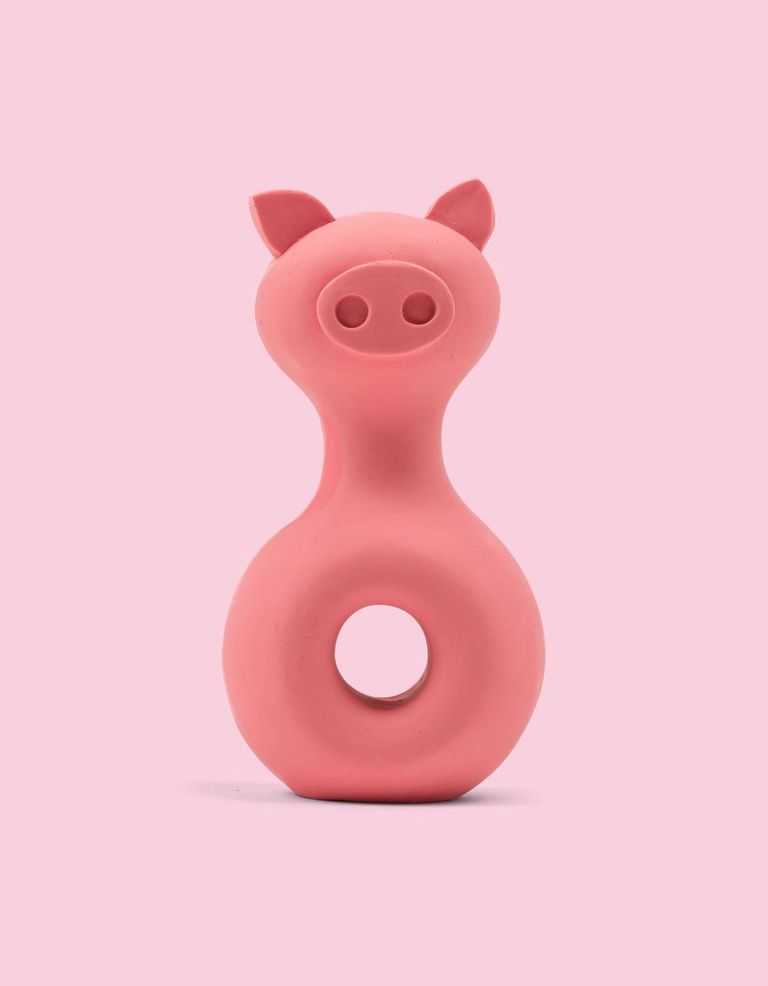 Pinky - Latex Toy  ของเล่นยางกัดสุนัข