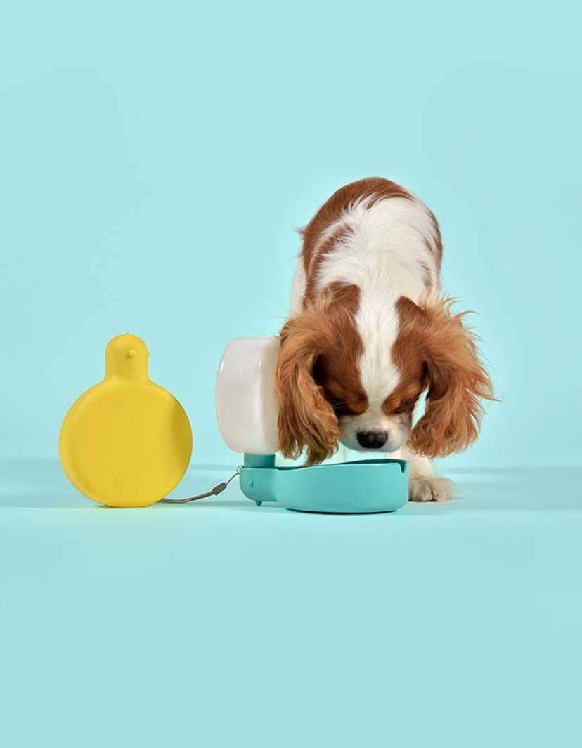 Pingui - Dog Water Bottle ขวดน้ำสุนัข