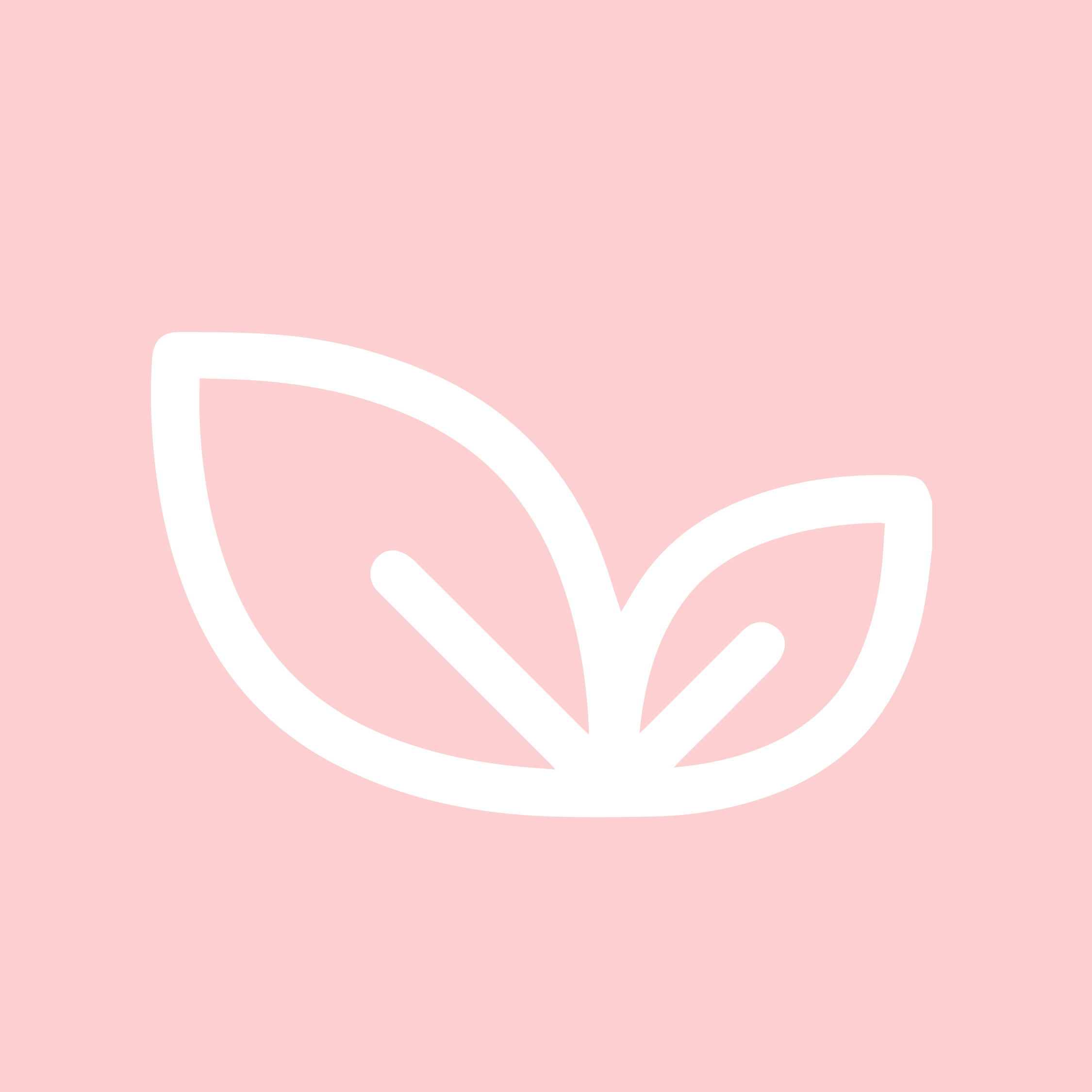 An Image