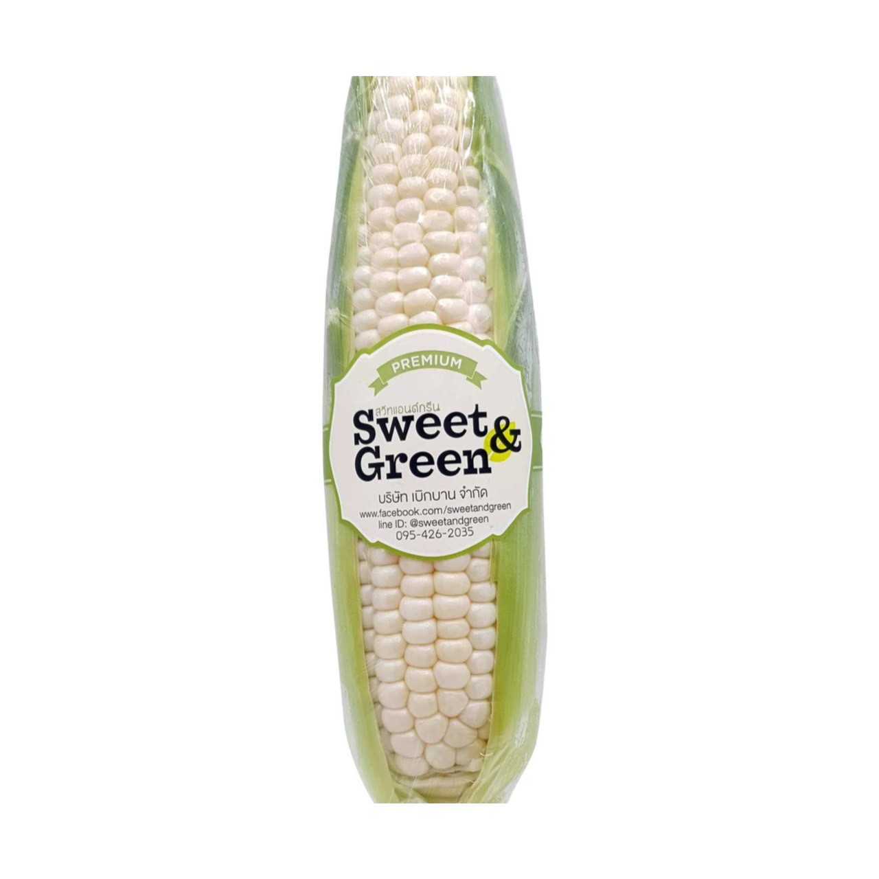 ข้าวโพดเพียวไวท์ตัดแต่ง เริ่มต้นฝักละ 53 บาท 315.-/กก (Pure White Corn 315.-/kg.)