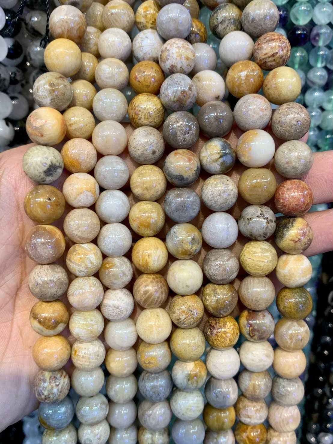 ฟอสซิล ปะการัง (Fossil Coral) ทรงกลม เส้นยาว