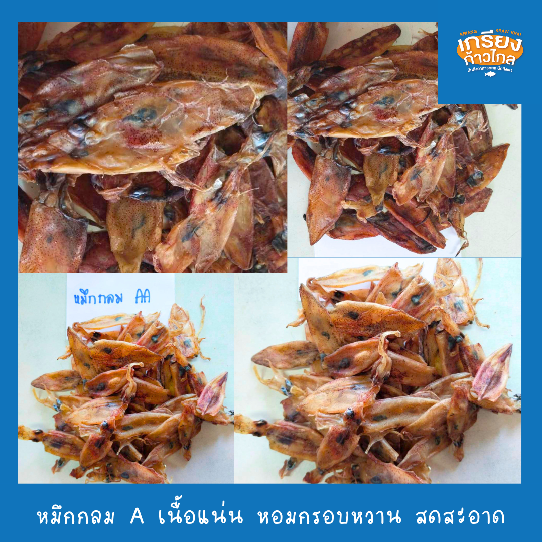หมึกกลม AA หอมสดสะอาดอร่อย เนื้อหวานกรอบ น้ำหนัก 20 กรัม - 1 กิโลกรัม by เกรียงก้าวไกลฟู๊ด