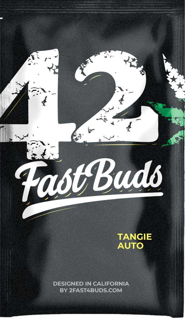 Tangie'matic Auto - Pack 1