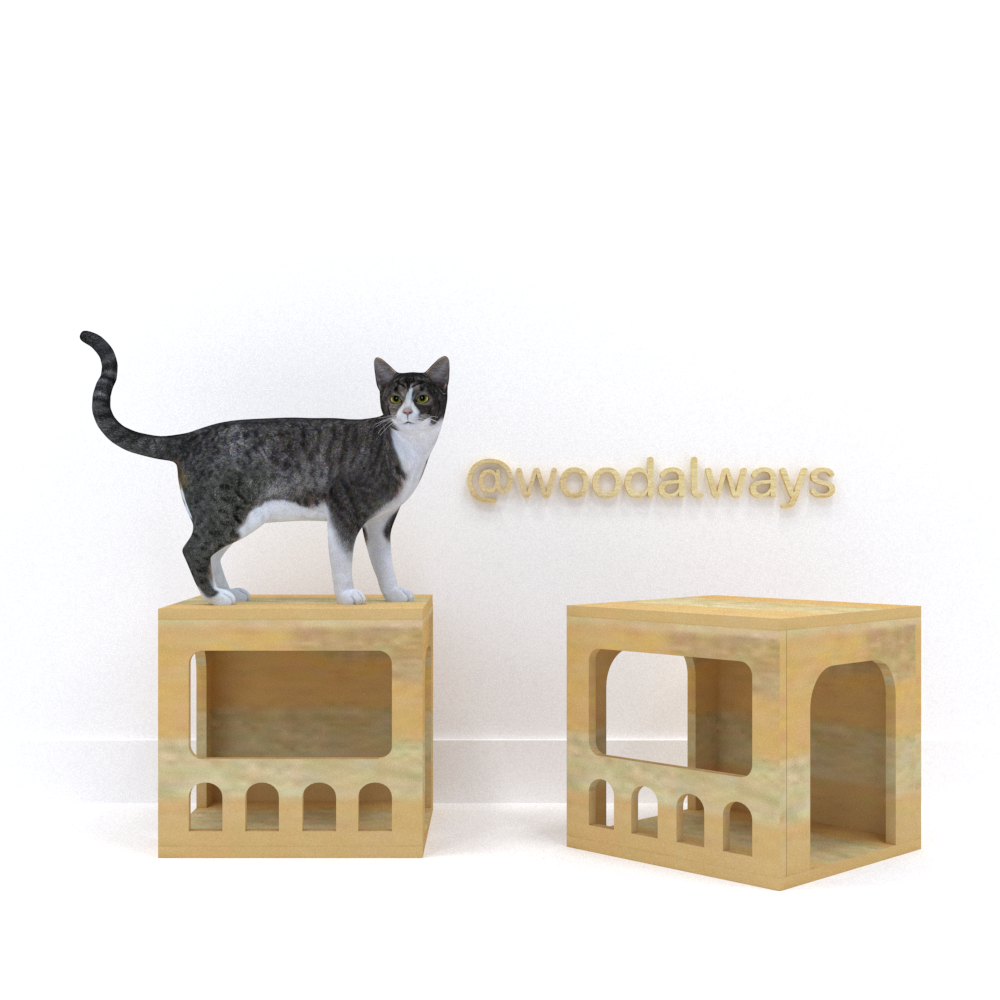 กล่องแมว CATBOX-02
