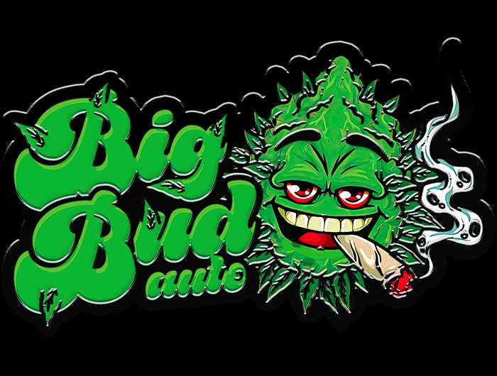 Original Auto Big Bud  - Pack 3