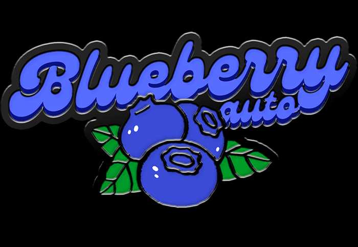 Original Auto Blueberry - Pack 2